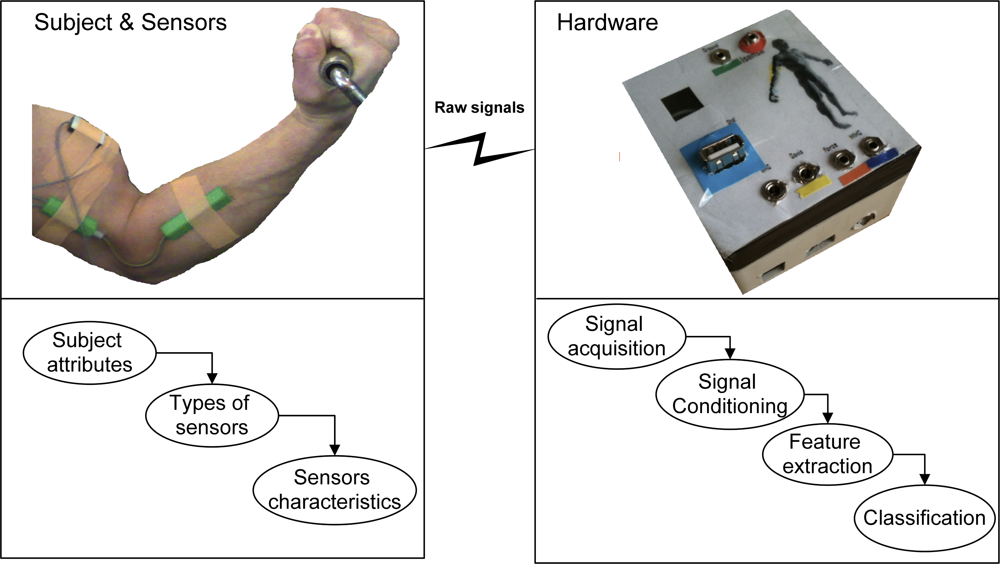 Sensors | Free Full-Text | A Review of Non-Invasive Techniques to Detect  and Predict Localised Muscle Fatigue