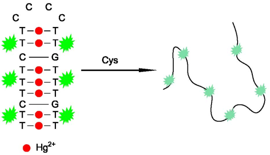 extract how dna Sensors Text Free  A   Sensitive Full and Highly