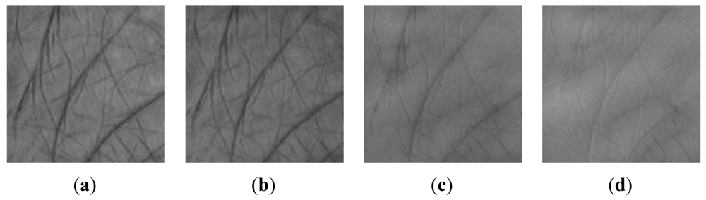 Sensors 12 04633f4 1024