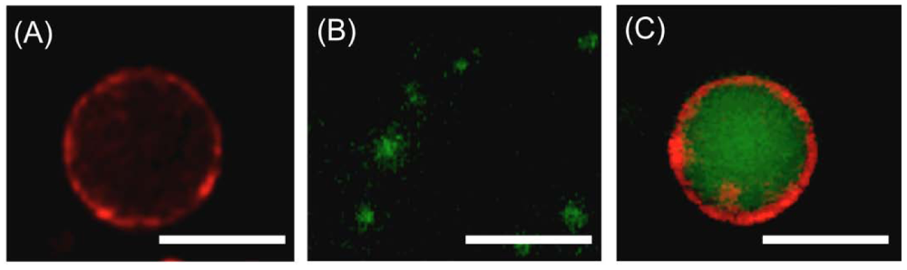 Sensors 12 05966f7 1024