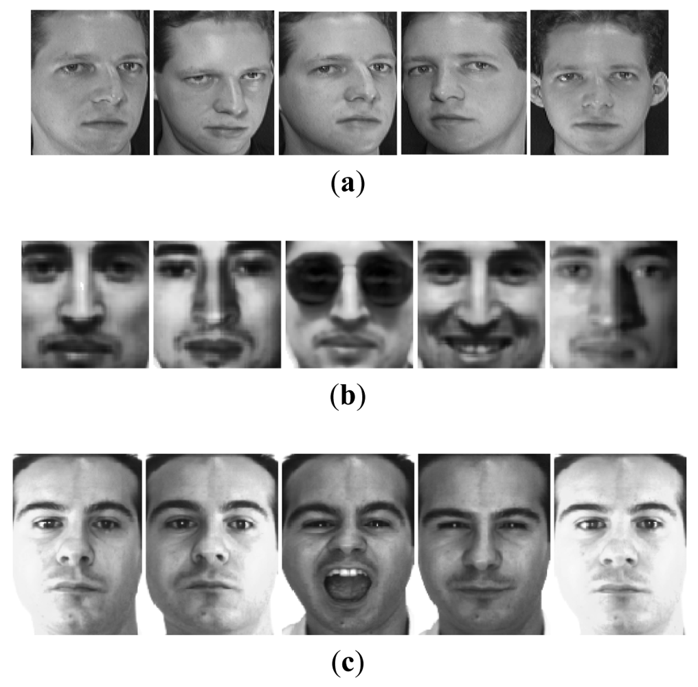 Sensors | Free Full-Text | A Kernel Gabor-Based Weighted Region Covariance  Matrix for Face Recognition | HTML
