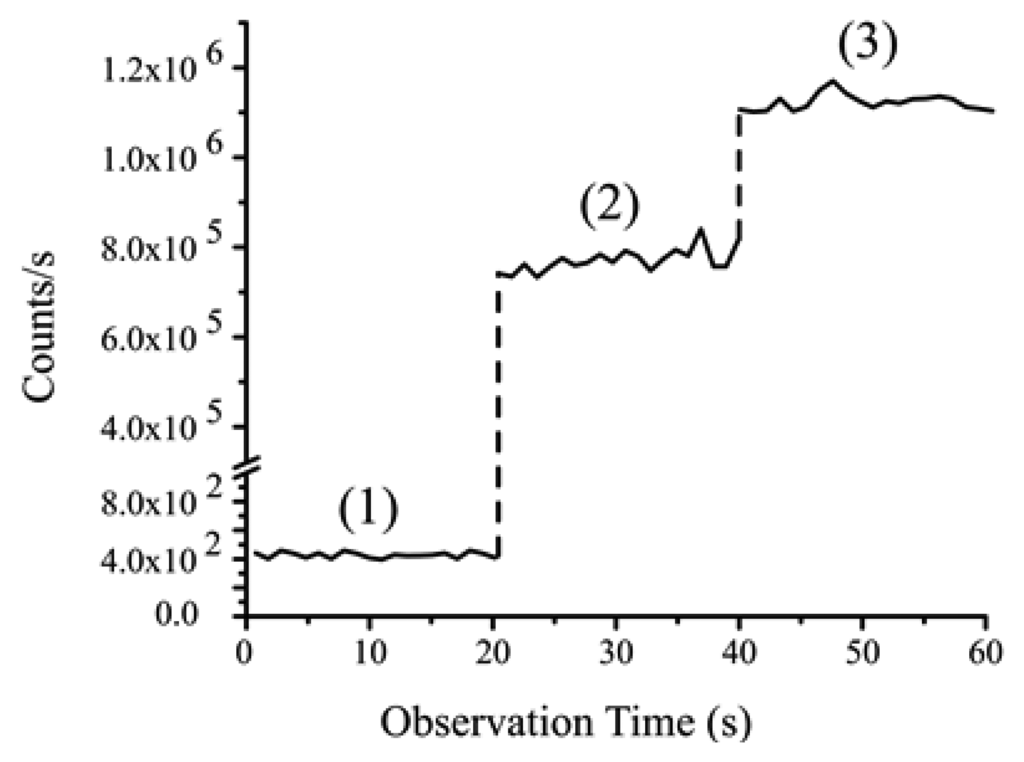 Sensors Special Issue Nanotube And Nanowire Sensors