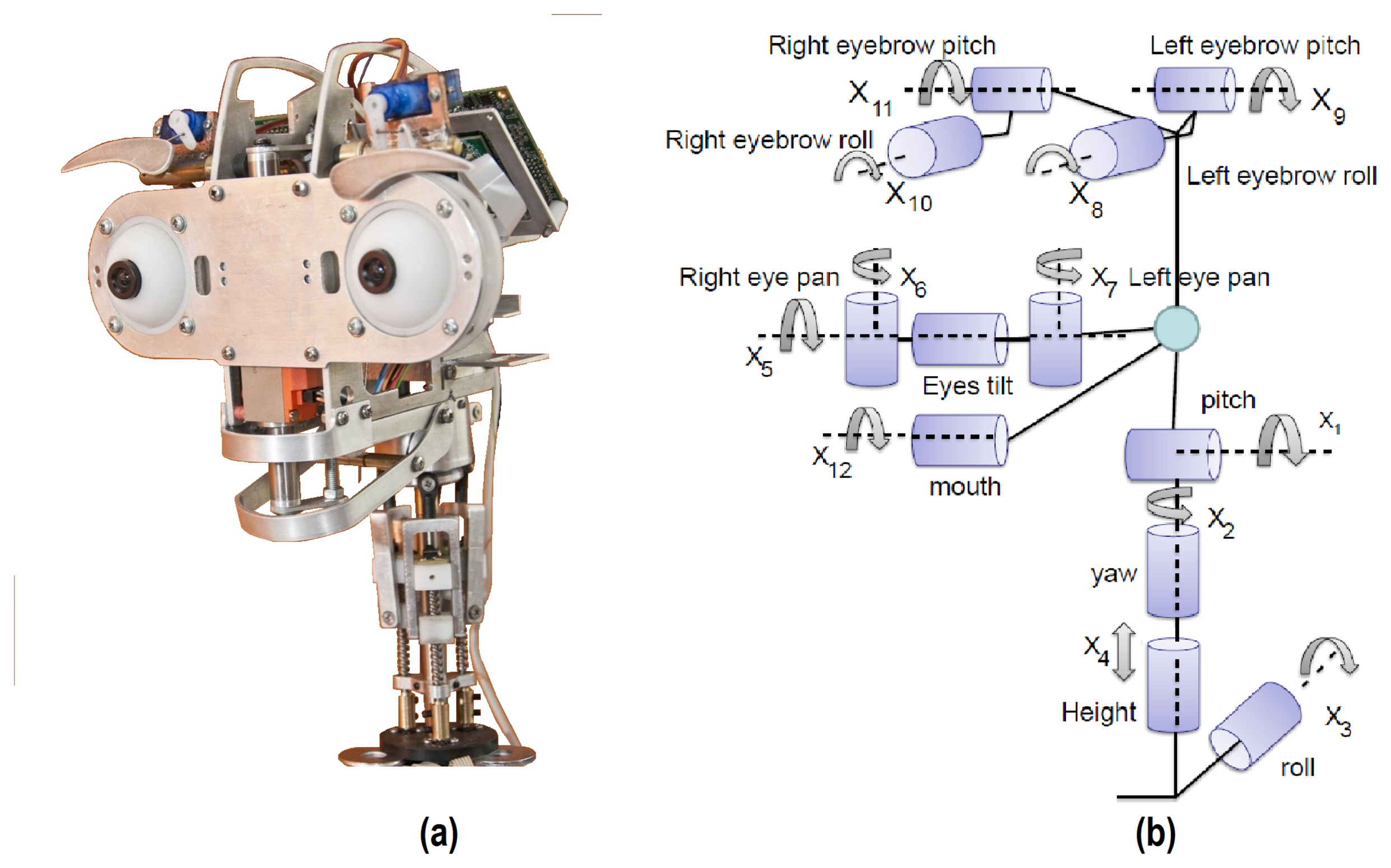 Sensors | Free Full-Text | Muecas: A Multi-Sensor Robotic Head for  Affective Human Robot Interaction and Imitation | HTML
