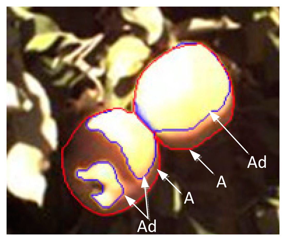 Sensors 14 20217f1 1024