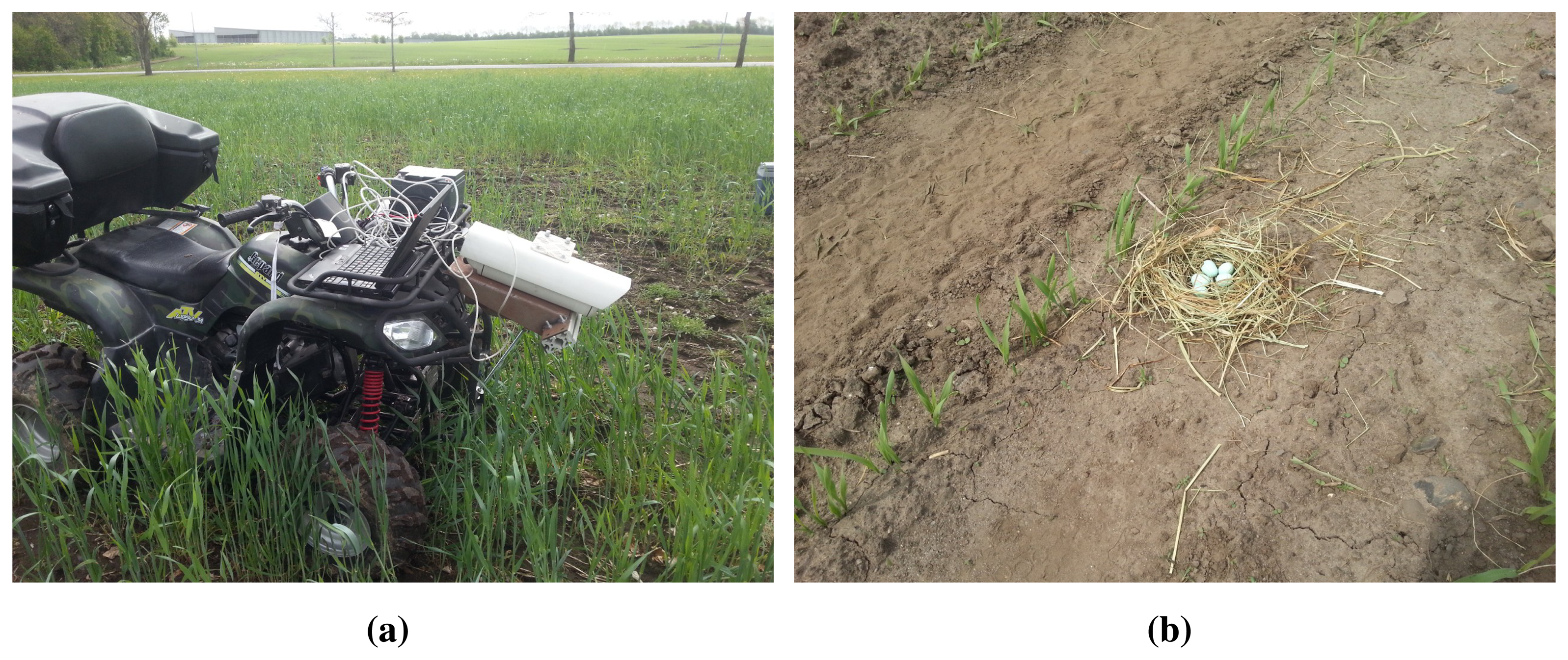 Sensors 15 05096f1 1024