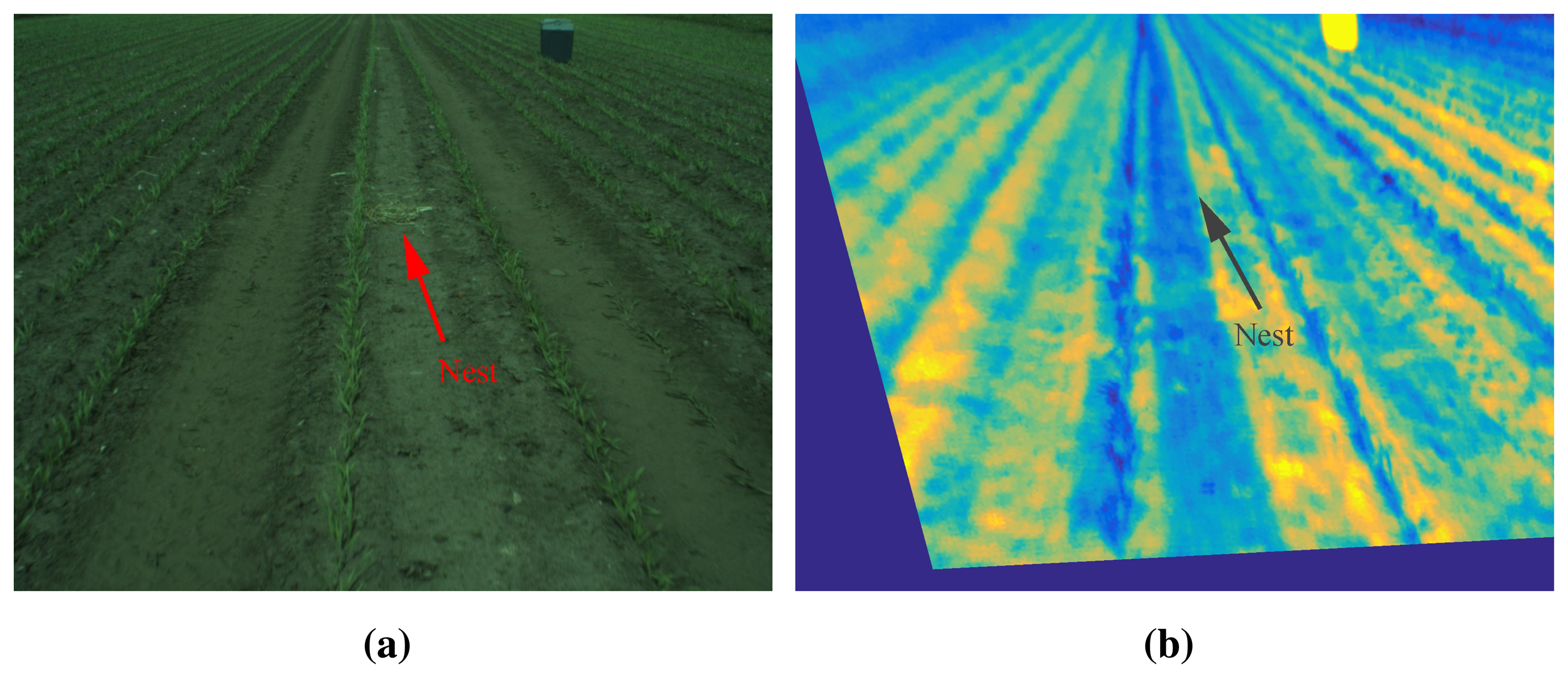Sensors 15 05096f3 1024
