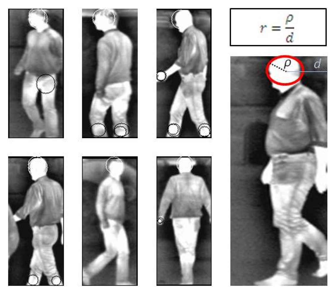 Sensors Free Full Text Pedestrian Detection in Far Infrared