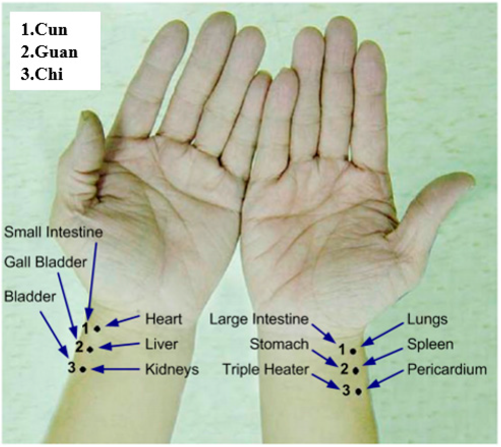 Sensors Free Full Text A Non Contact Pulse Automatic Positioning