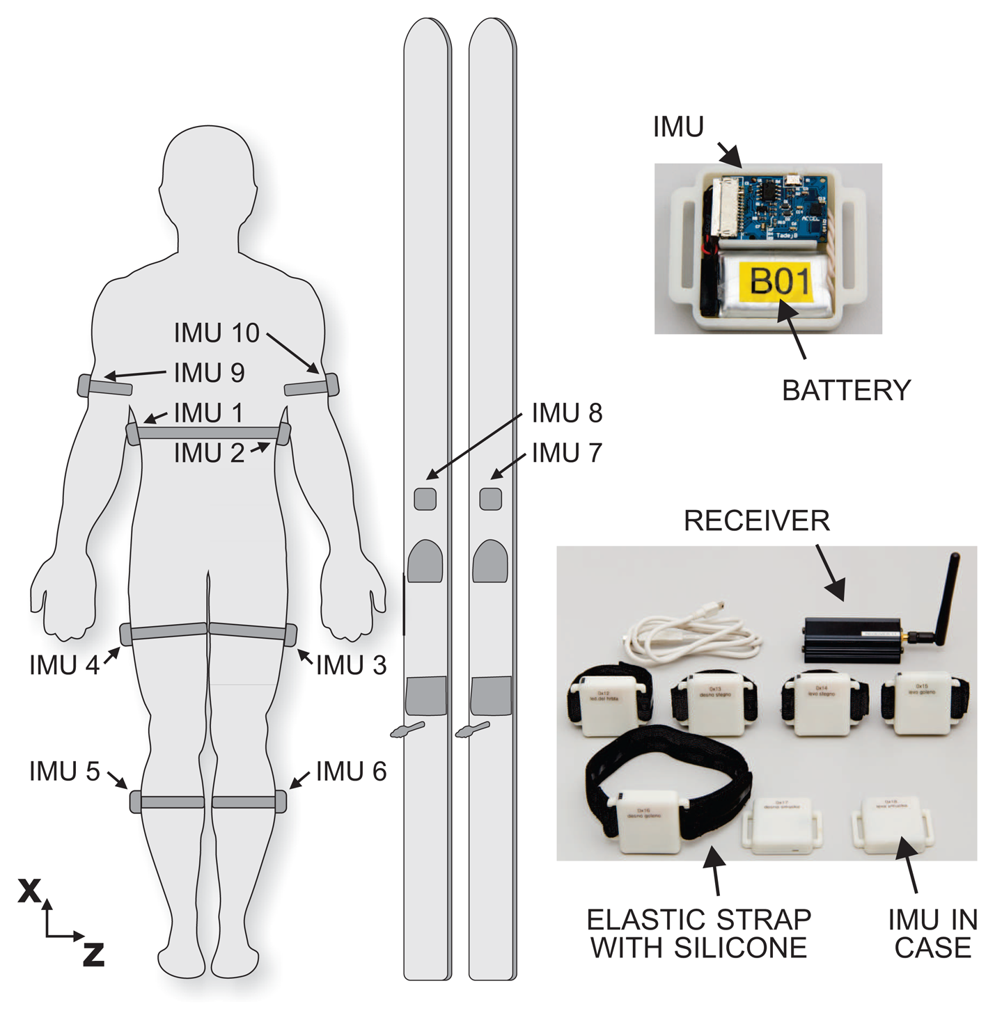 Sensors | Free Full-Text | Estimation of Joint Forces and Moments for the  In-Run and Take-Off in Ski Jumping Based on Measurements with Wearable  Inertial Sensors | HTML