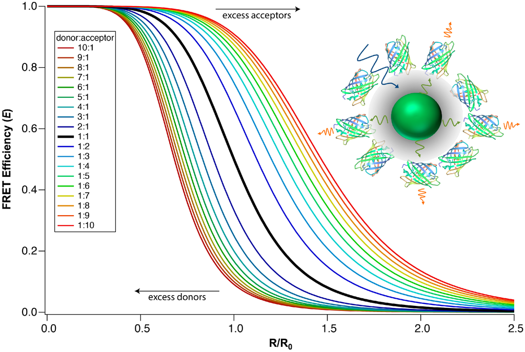 A Stochastic Model for Energy Transfer from CdS Quantum Dots/Rods (Donors)  to Nile Red Dye (Acceptors)