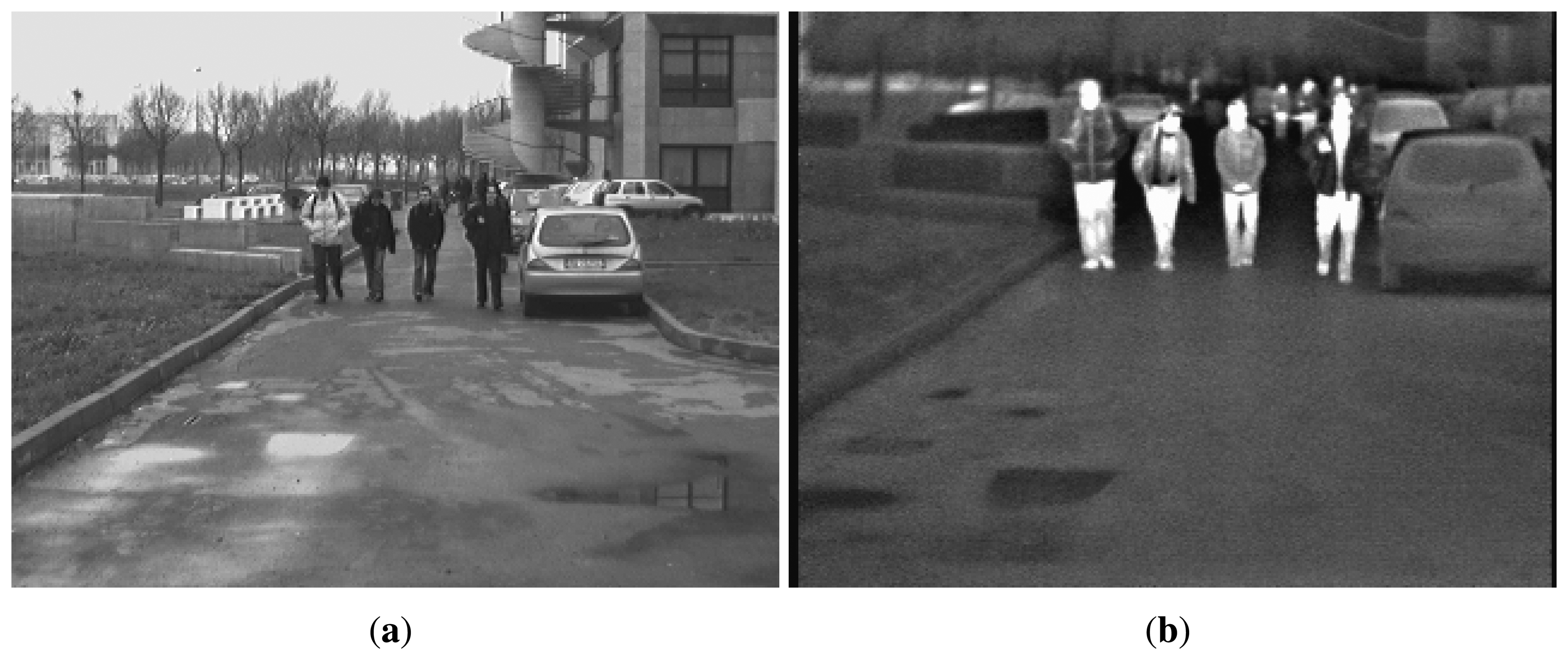 Sensors Free Full Text An Evaluation of the Pedestrian