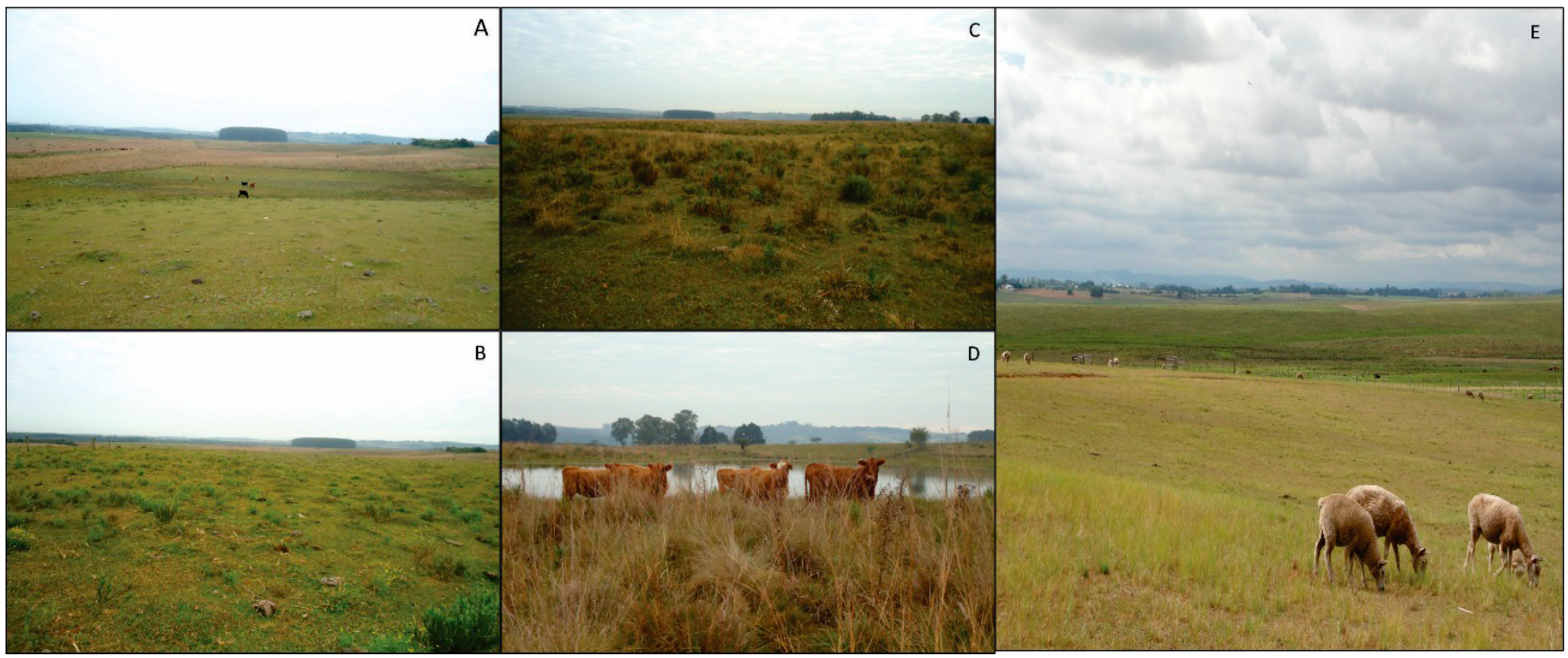 Sensors 15 17666 g011