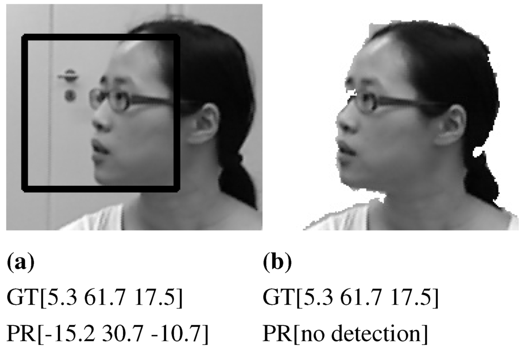 Depth-based real time head pose tracking using 3D template matching