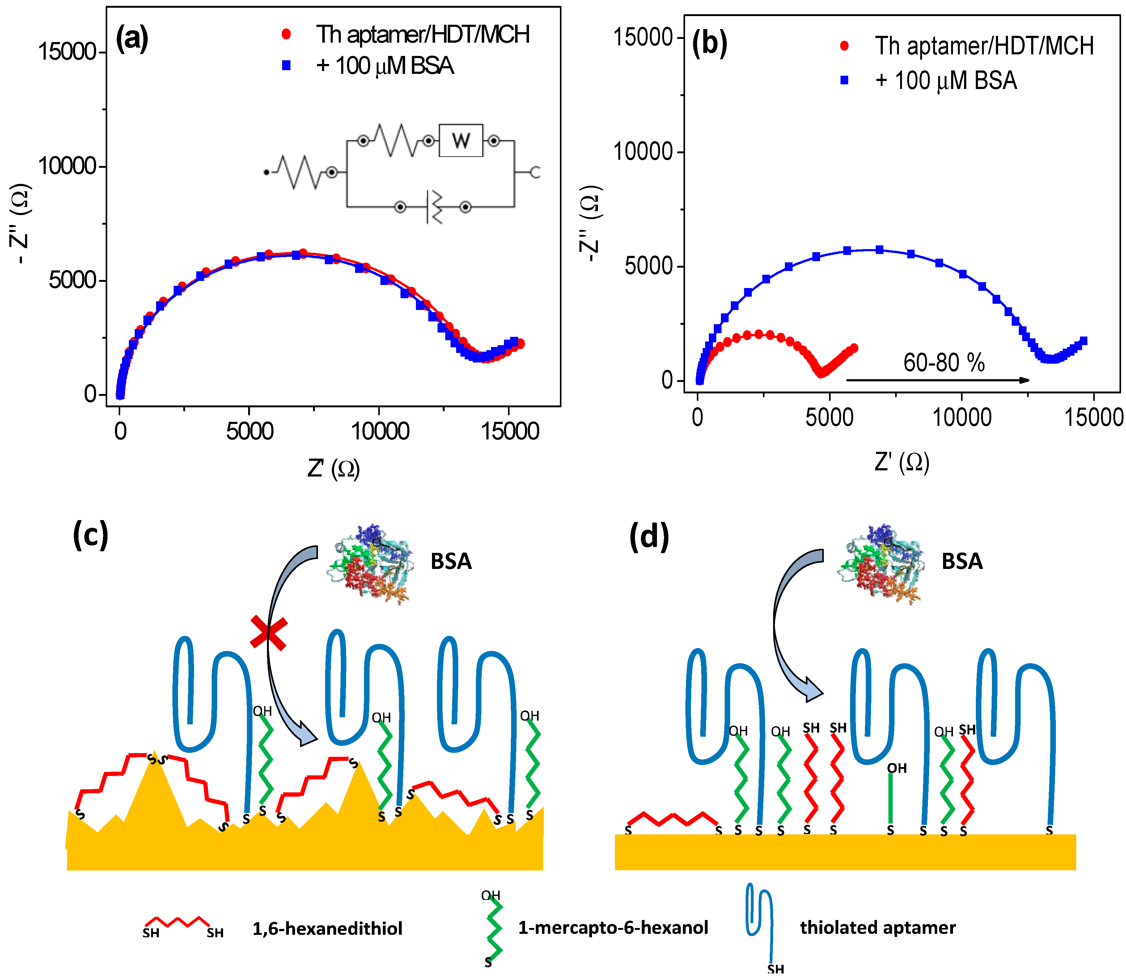 Sensors | Free Full-Text | Optimisation and Characterisation of  Anti-Fouling Ternary SAM Layers for Impedance-Based Aptasensors