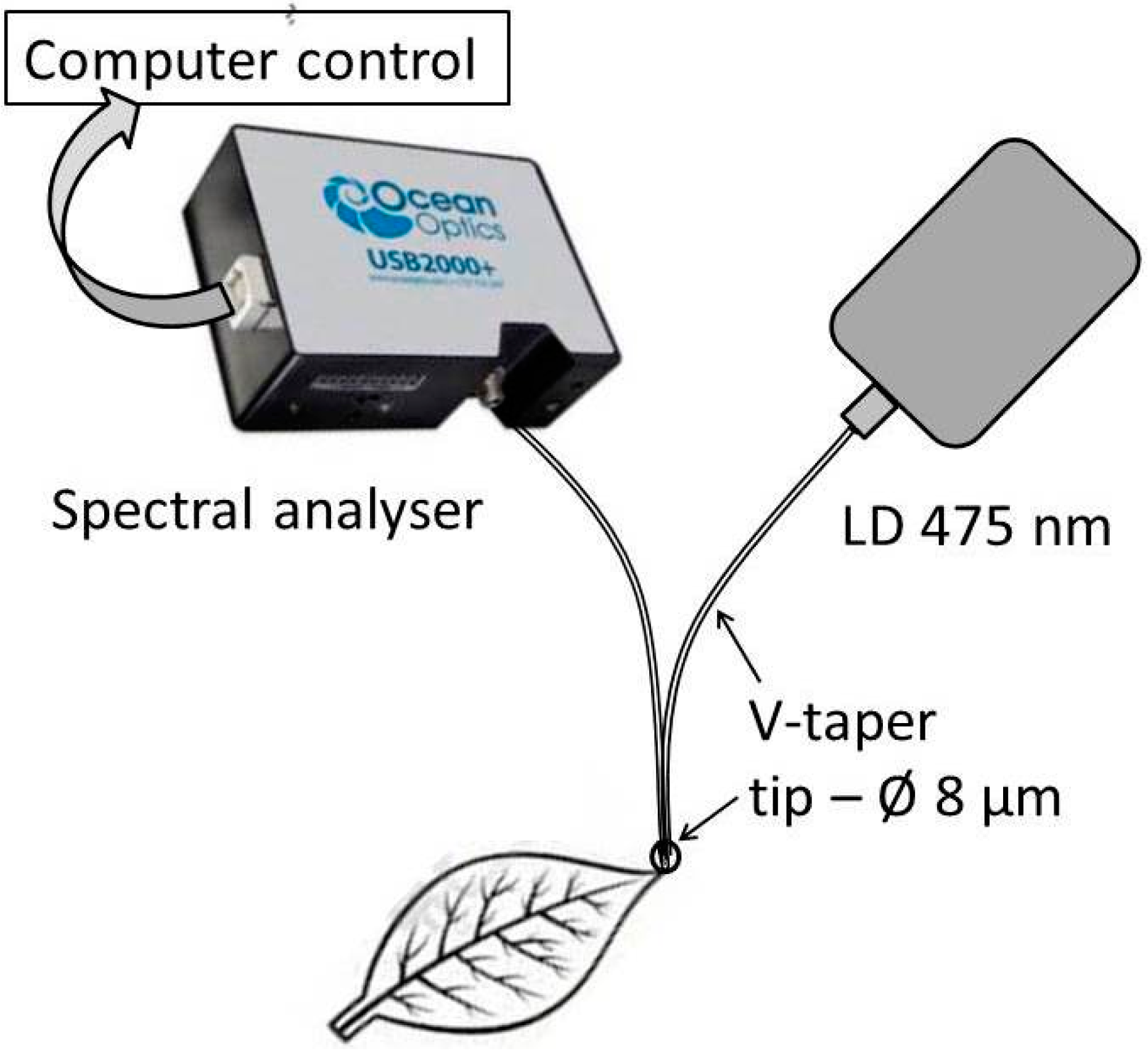 Spectra Fiber Optics Tester