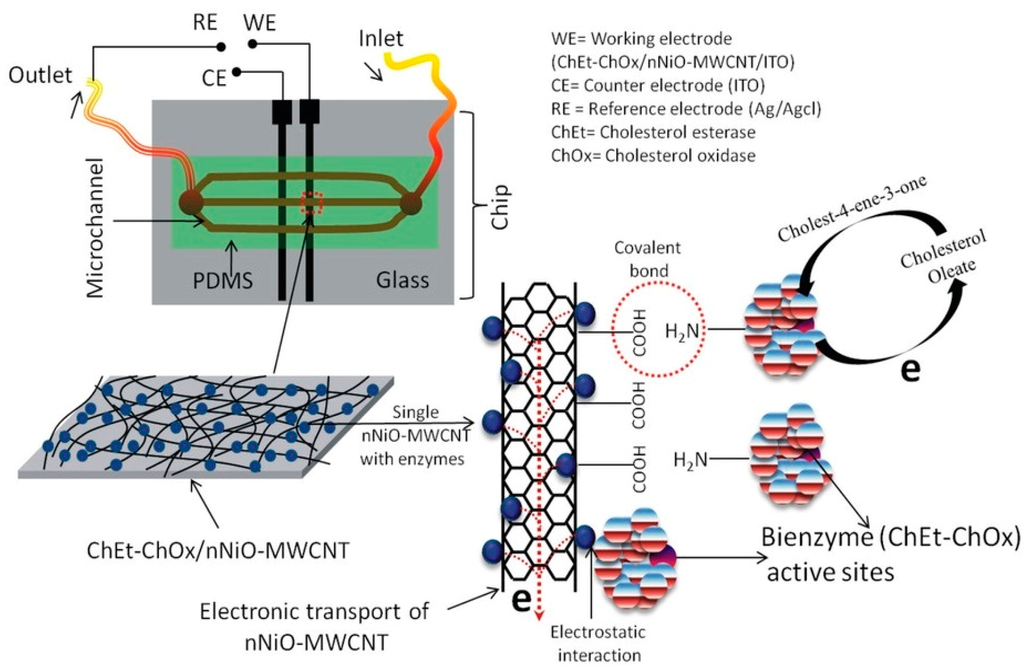 Sensors | Free Full-Text | Microfluidics Integrated Biosensors: A ...