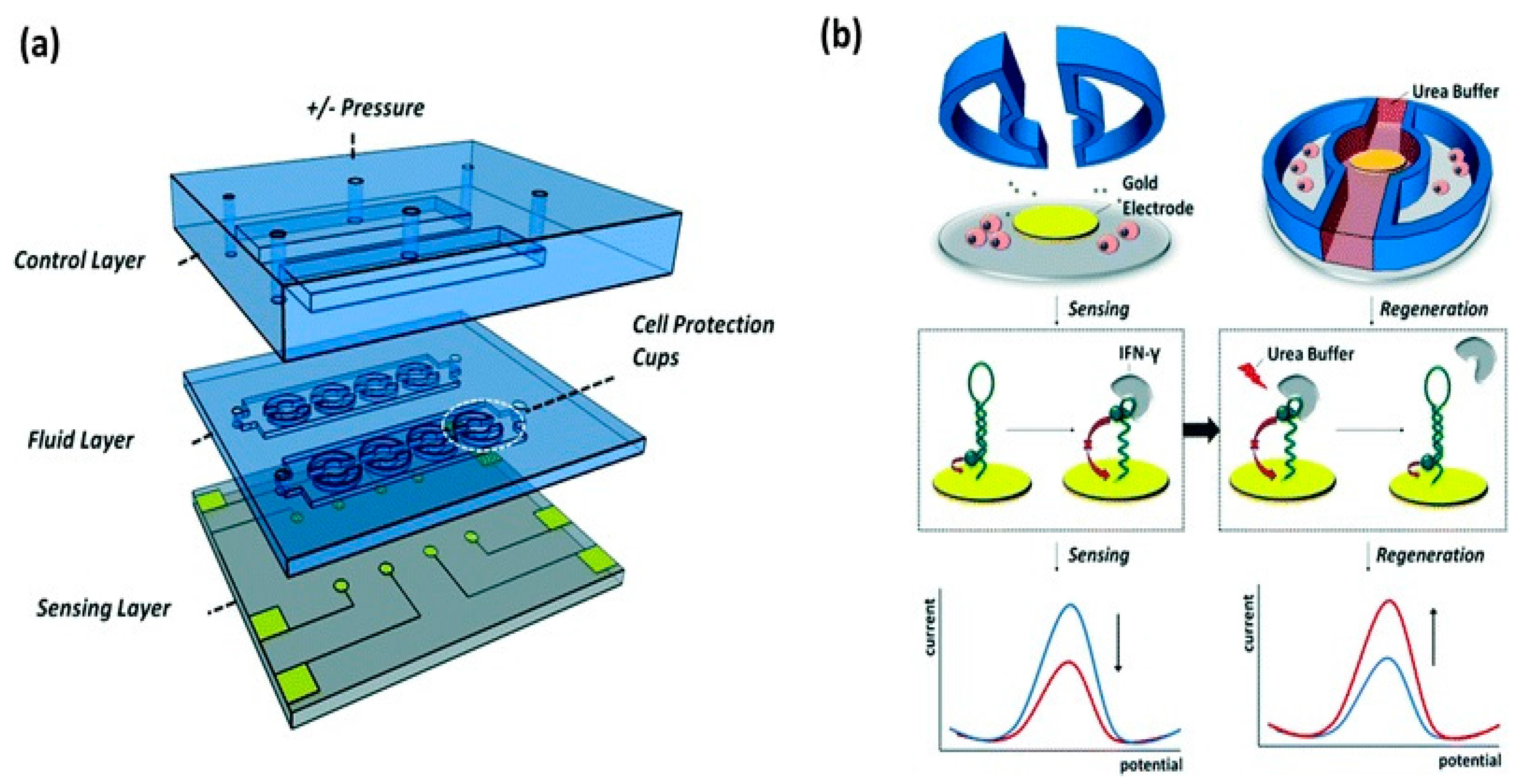 Sensors | Free Full-Text | Microfluidics Integrated Biosensors: A ...