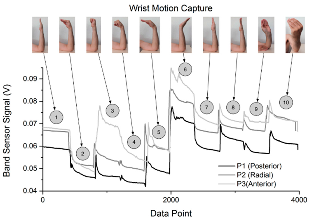 Sensor banding