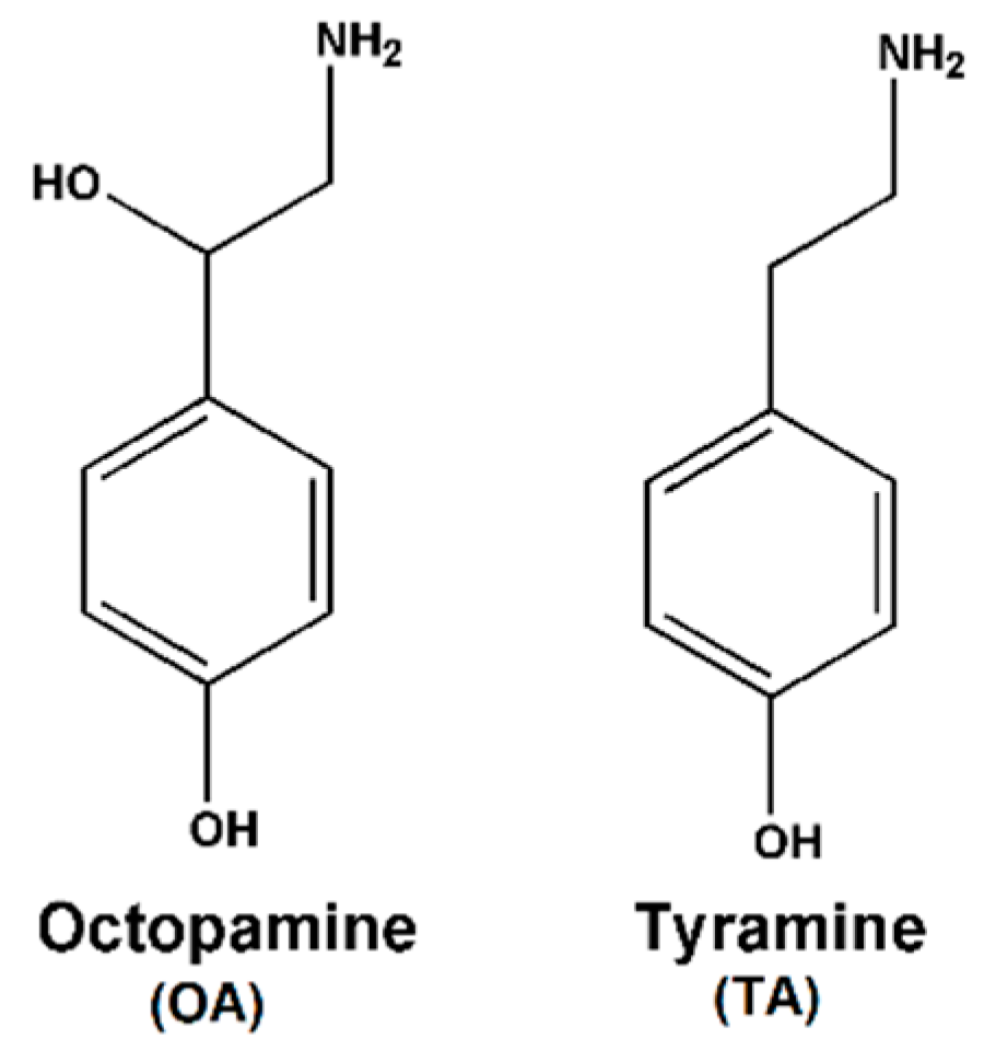 Sensors Free Full Text An Easily Fabricated Electrochemical Sensor Based On A Graphene Modified Glassy Carbon Electrode For Determination Of Octopamine And Tyramine Html