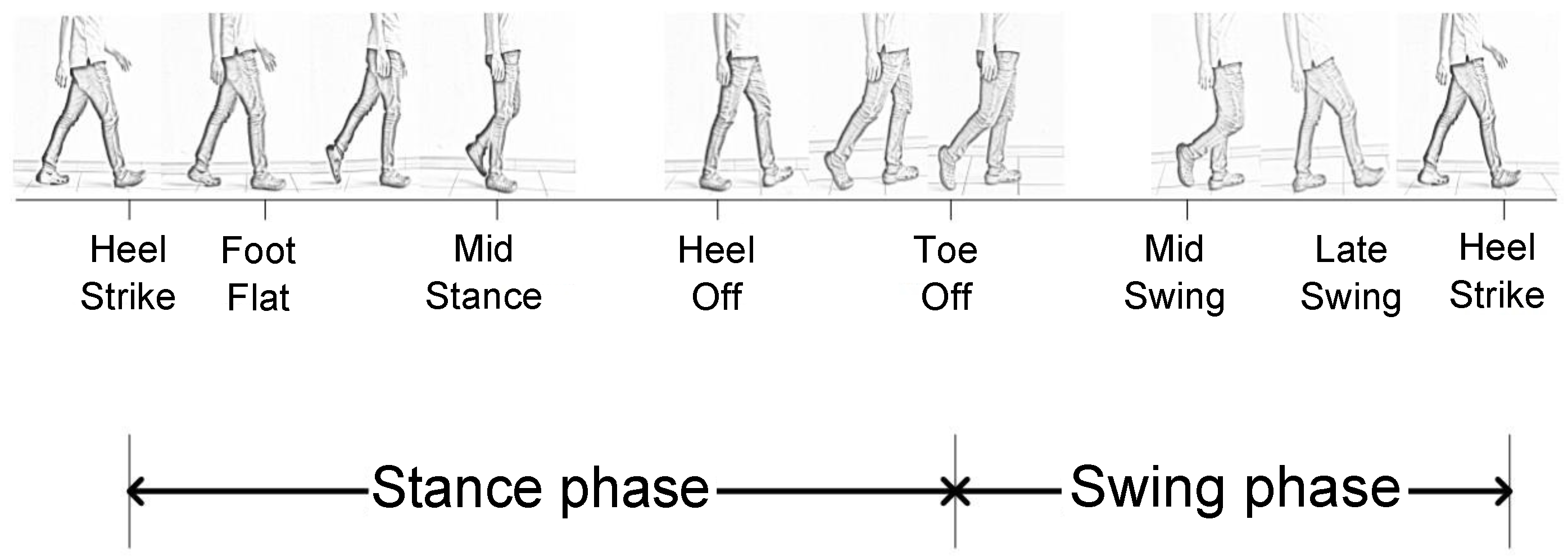 Sensors | Free Full-Text | Stride Counting in Human Walking and Walking  Distance Estimation Using Insole Sensors