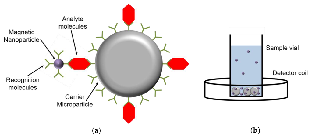 Sensors | Free Full-Text | Homogeneous Biosensing Based on Magnetic  Particle Labels | HTML