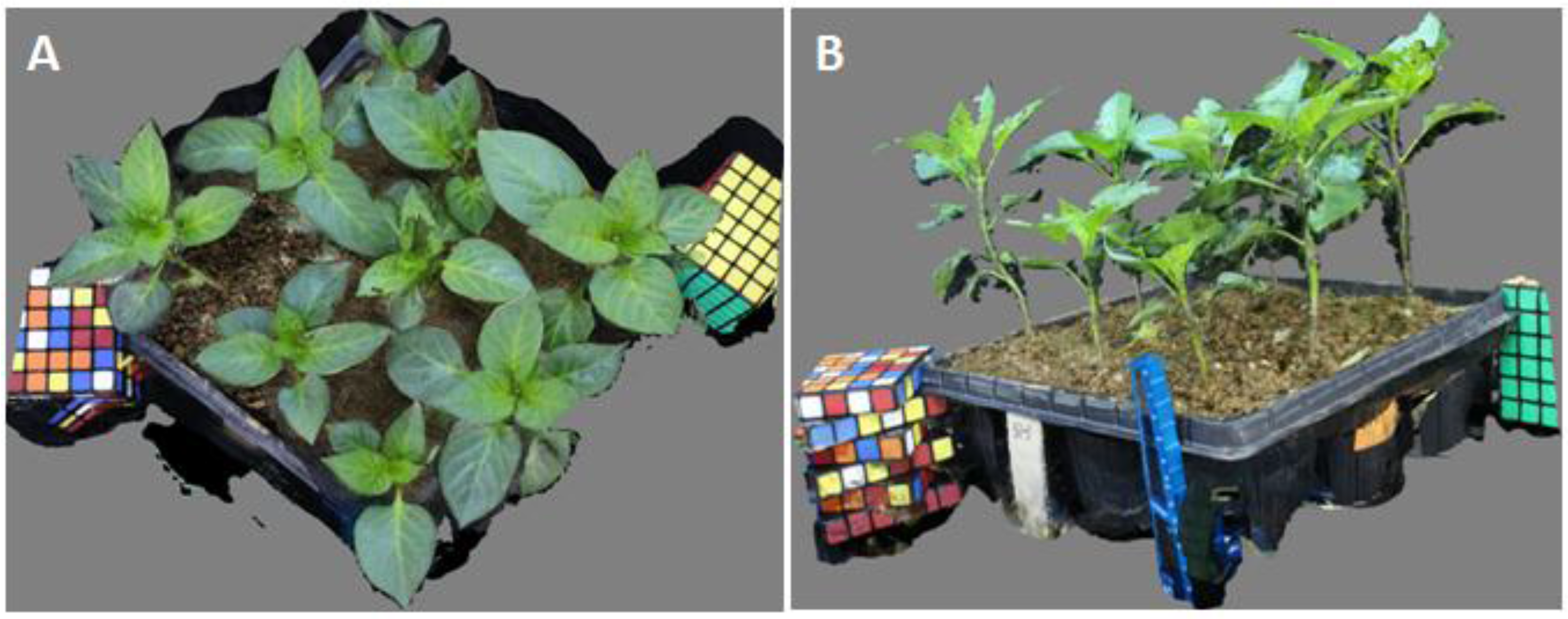 Sensors Free Full Text Estimating 3d Leaf And Stem Shape Of Nursery Paprika Plants By A Novel Multi Camera Photography System Html