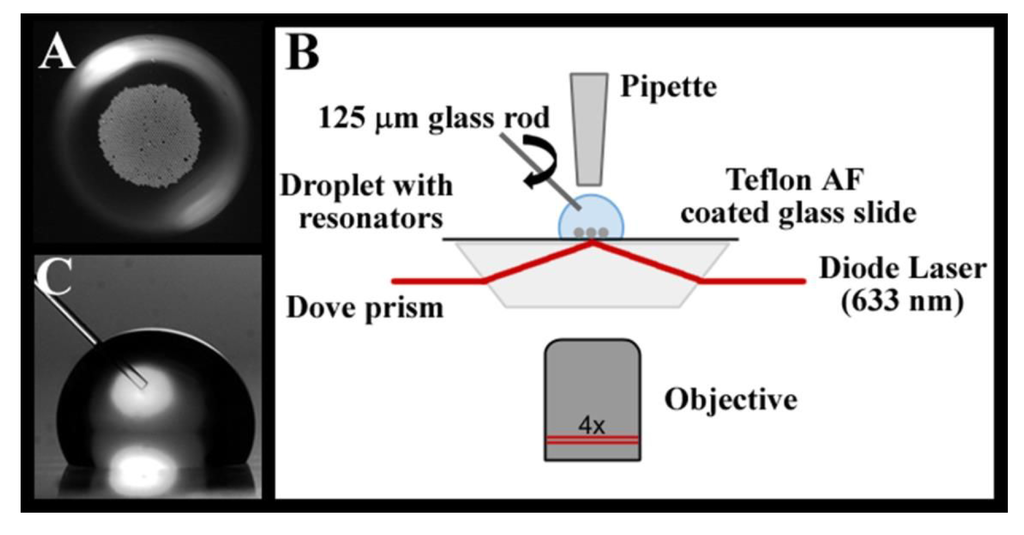 Sensors | Free Full-Text | Biosensing By WGM Microspherical Resonators