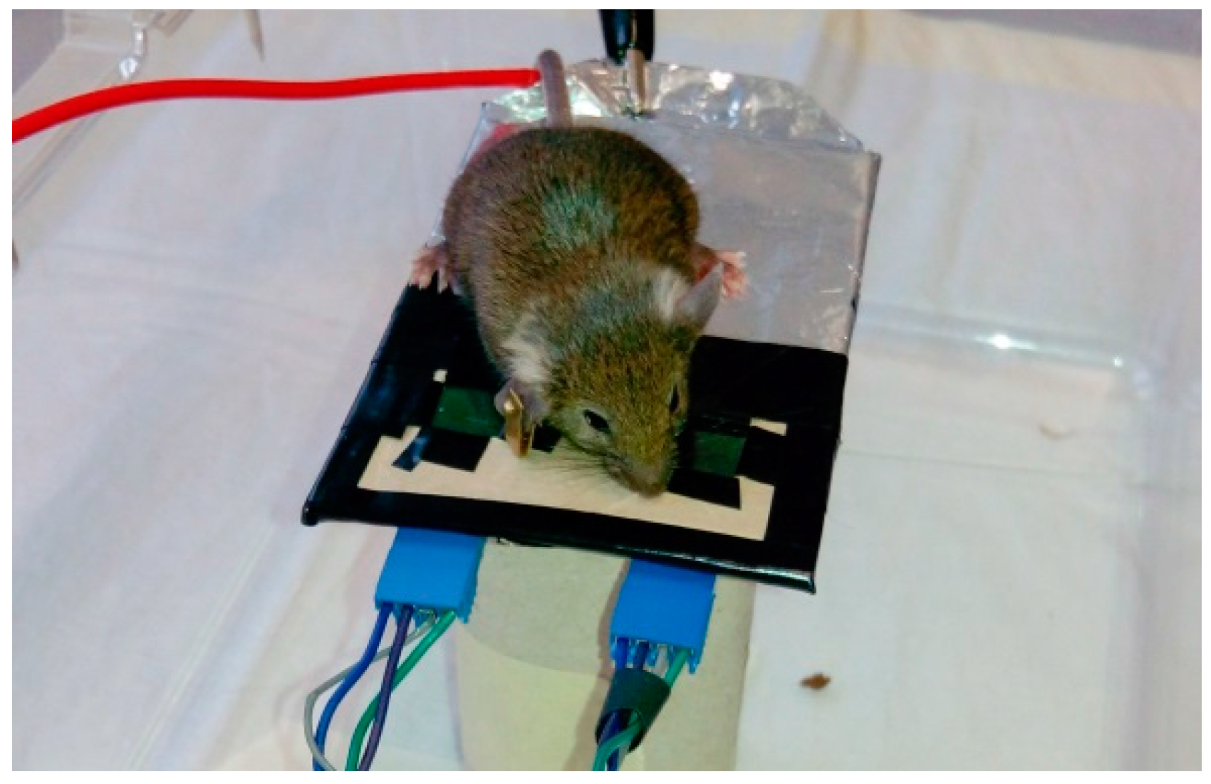 Sensors | Free Full-Text | Capacitive Sensing for Non-Invasive Breathing  and Heart Monitoring in Non-Restrained, Non-Sedated Laboratory Mice