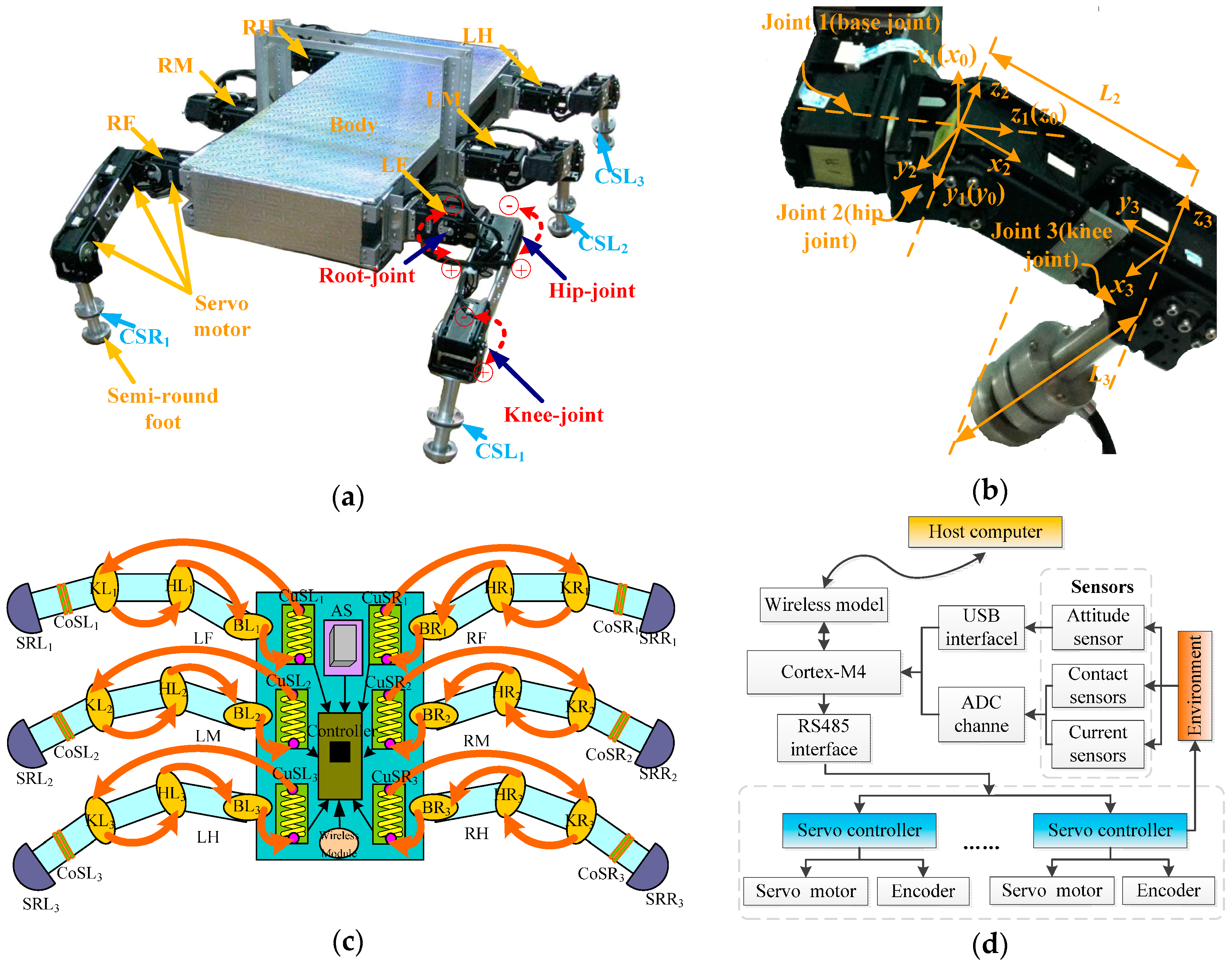 Sensors | Free Full-Text | Trajectory Correction and Locomotion Analysis of  a Hexapod Walking Robot with Semi-Round Rigid Feet