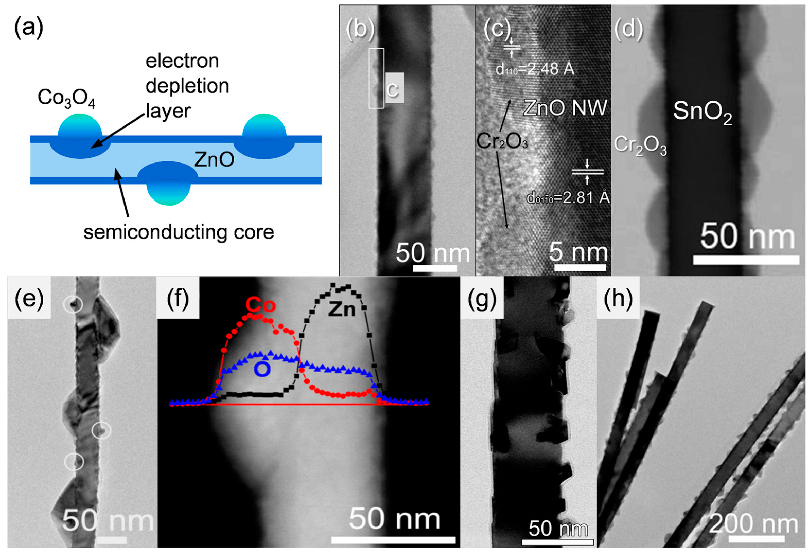 Sensors Free Full Text Design Of Highly Selective Gas Sensors Via Physicochemical Modification Of Oxide Nanowires Overview Html