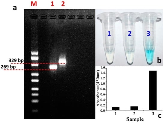 Sensors Free Full Text Colorimetric Integrated PCR Protocol For Rapid Detection Of Vibrio