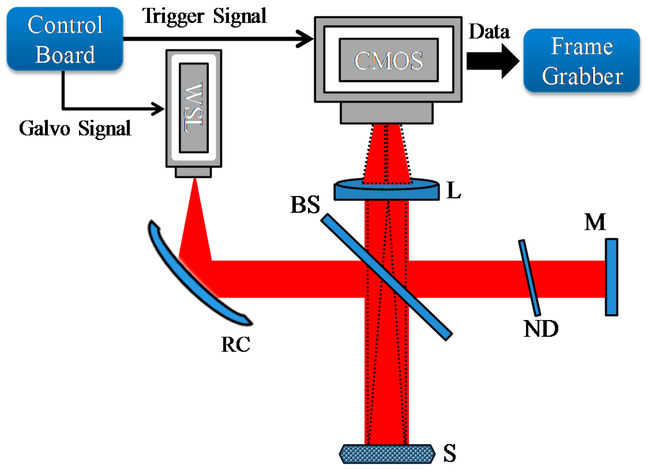 Sensors Free Full Text Full Field Optical Coherence Tomography Using Galvo Filter Based