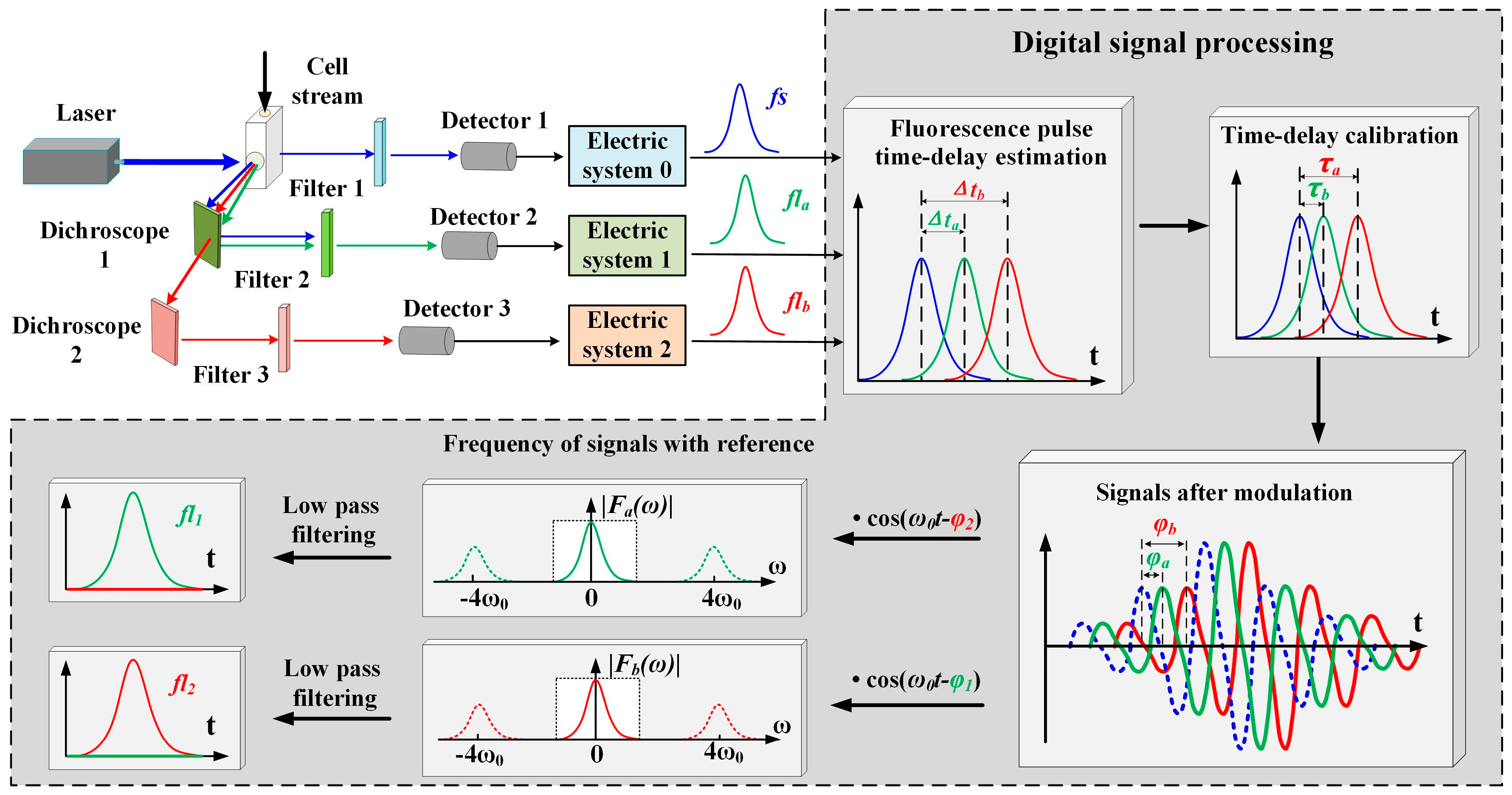 Sensors | Free Full-Text | Representation Method for Spectrally Overlapping  Signals in Flow Cytometry Based on Fluorescence Pulse Time-Delay Estimation