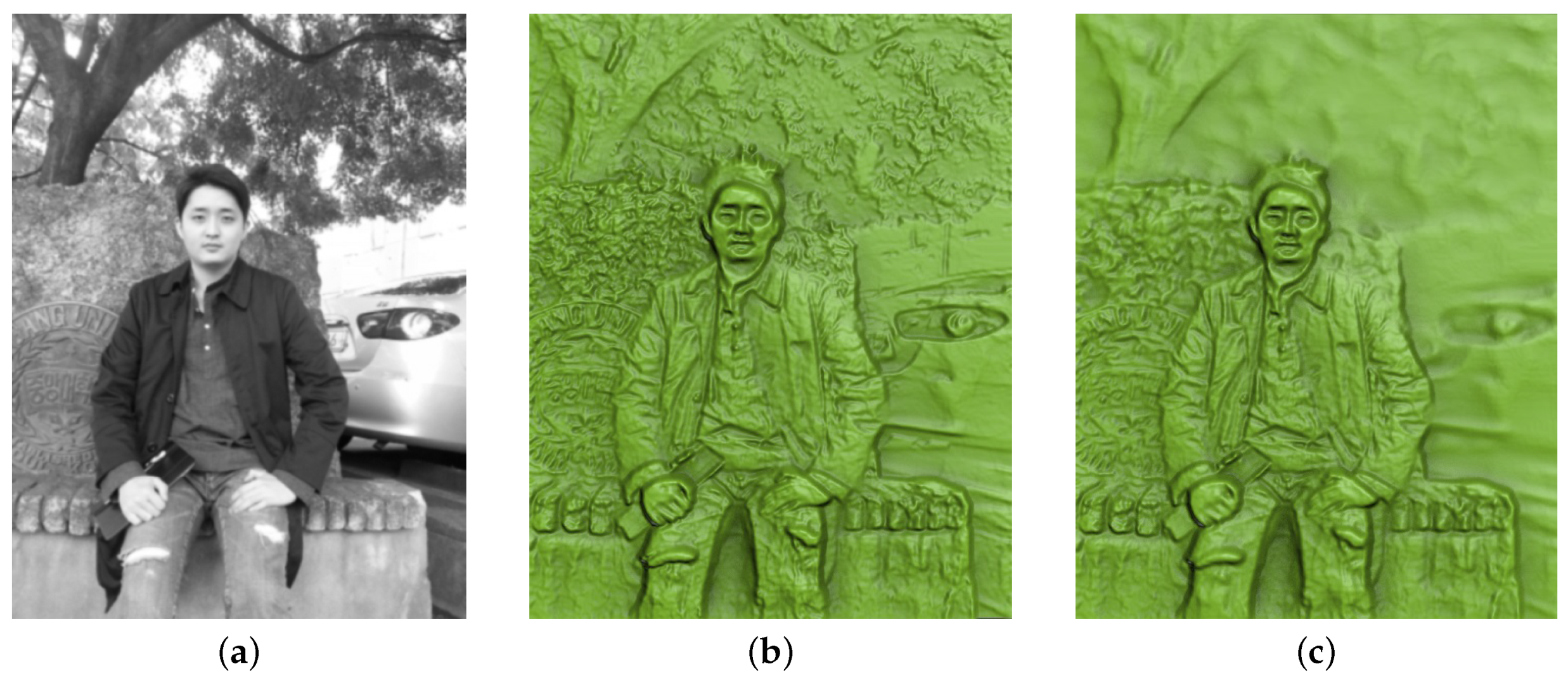 Sensors | Free Full-Text | Ubiquitous Creation of Bas-Relief Surfaces with  Depth-of-Field Effects Using Smartphones