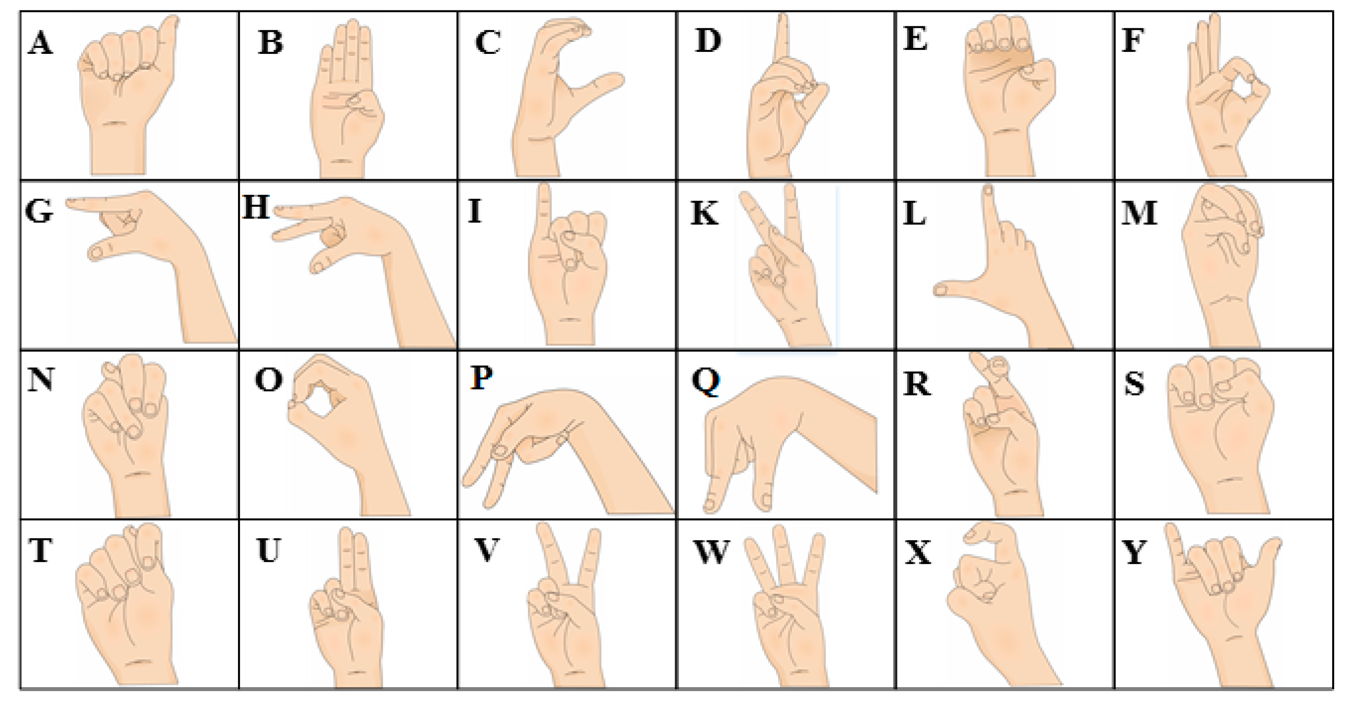 Американский язык жестов