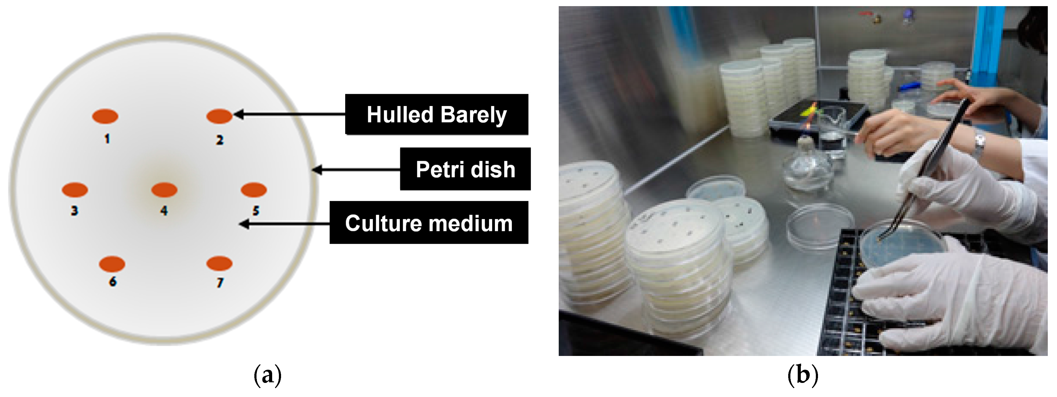 Sensors 17 02258 g002