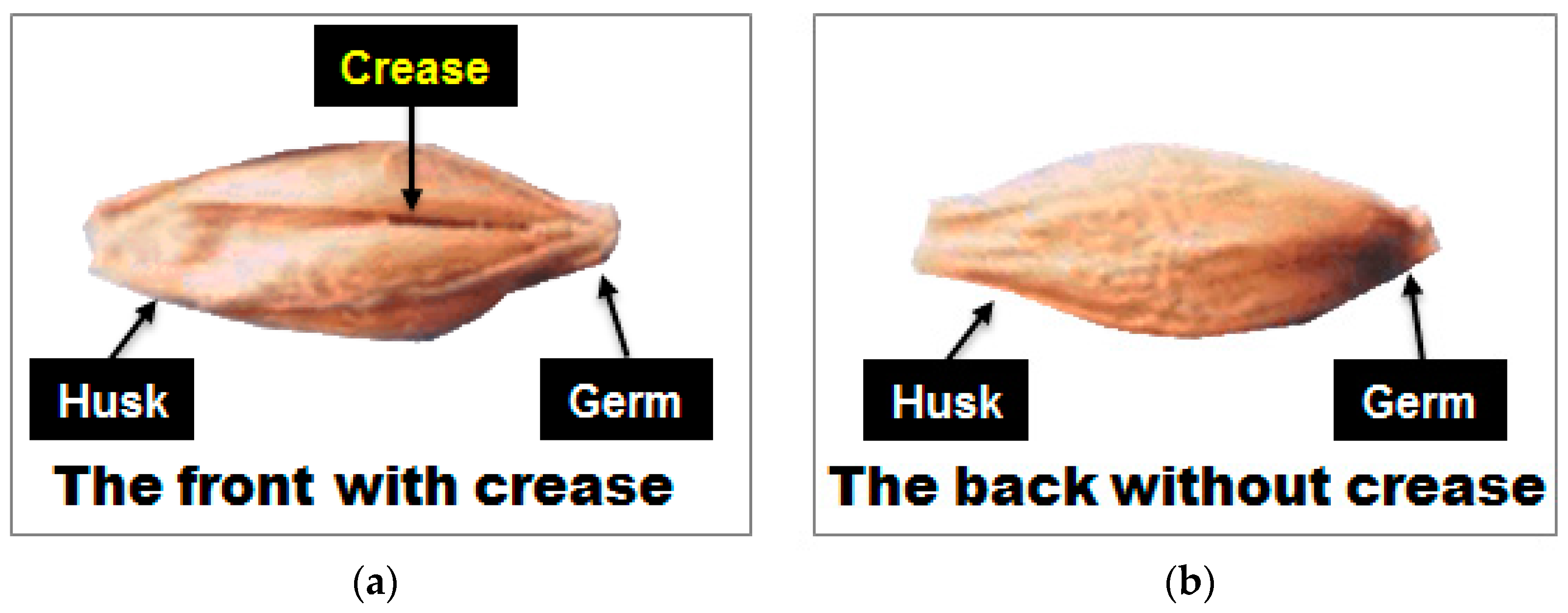 Sensors 17 02258 g003