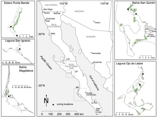 Sensors | Free Full-Text | Assessment of Blue Carbon Storage by Baja  California (Mexico) Tidal Wetlands and Evidence for Wetland Stability in  the Face of Anthropogenic and Climatic Impacts | HTML