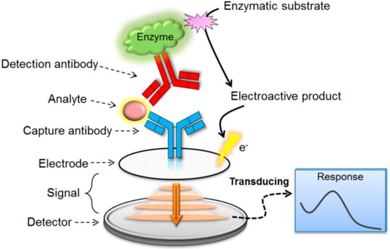 Sensors | Free Full-Text | Current Technologies Of Electrochemical ...