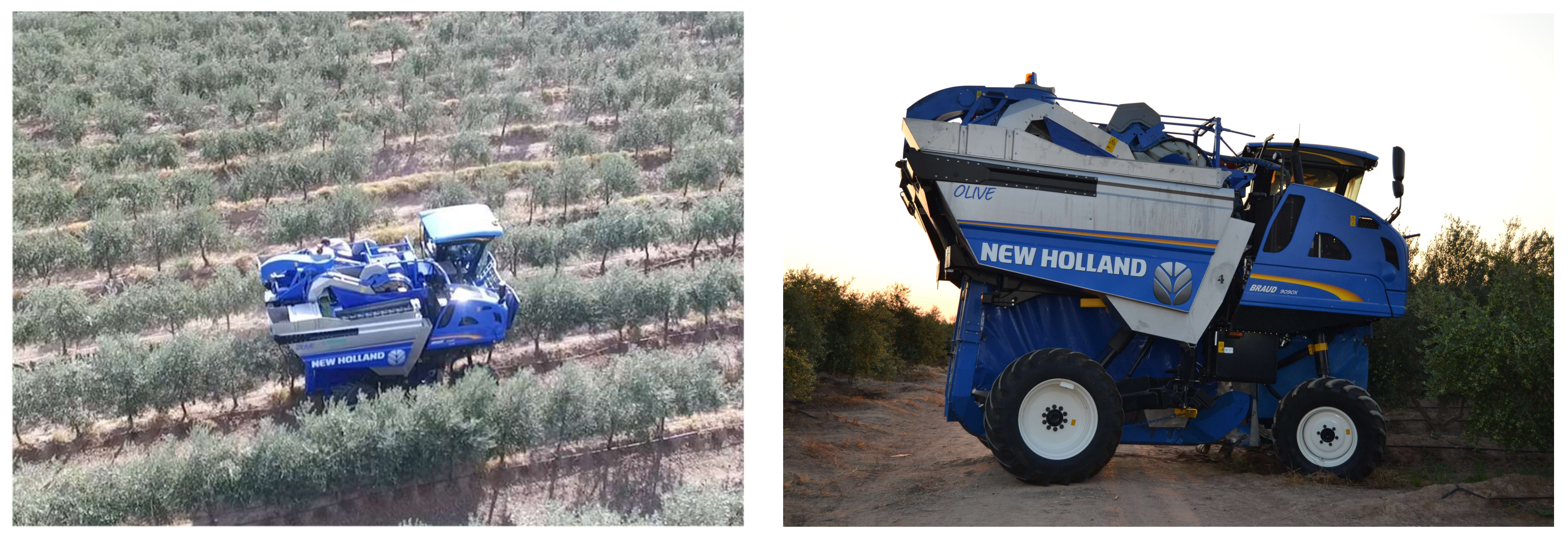 Sensors | Free Full-Text | Evaluation of Over-The-Row Harvester Damage in a  Super-High-Density Olive Orchard Using On-Board Sensing Techniques | HTML