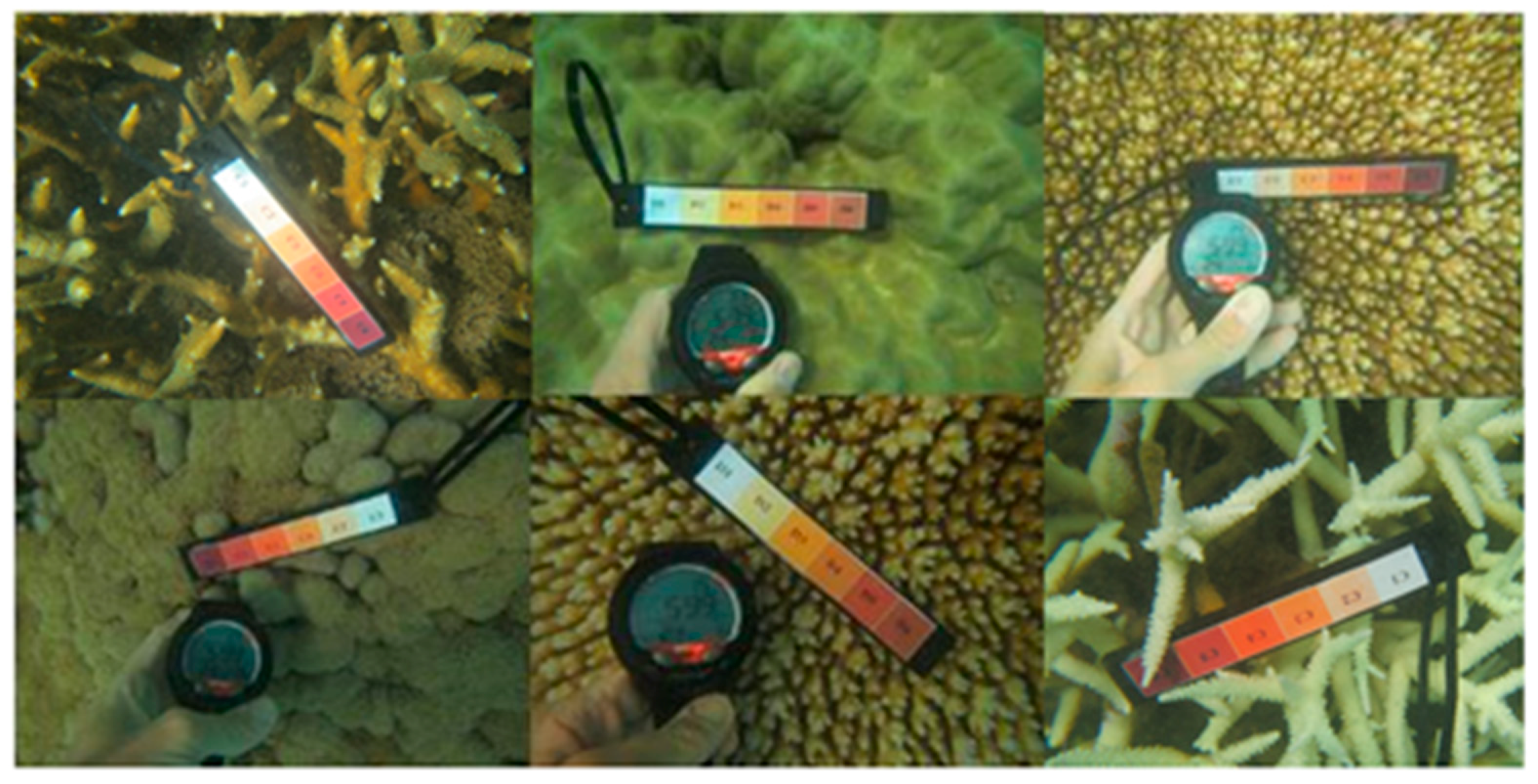 Sensors 18 02026 g002 Sensors 18 02026 g002