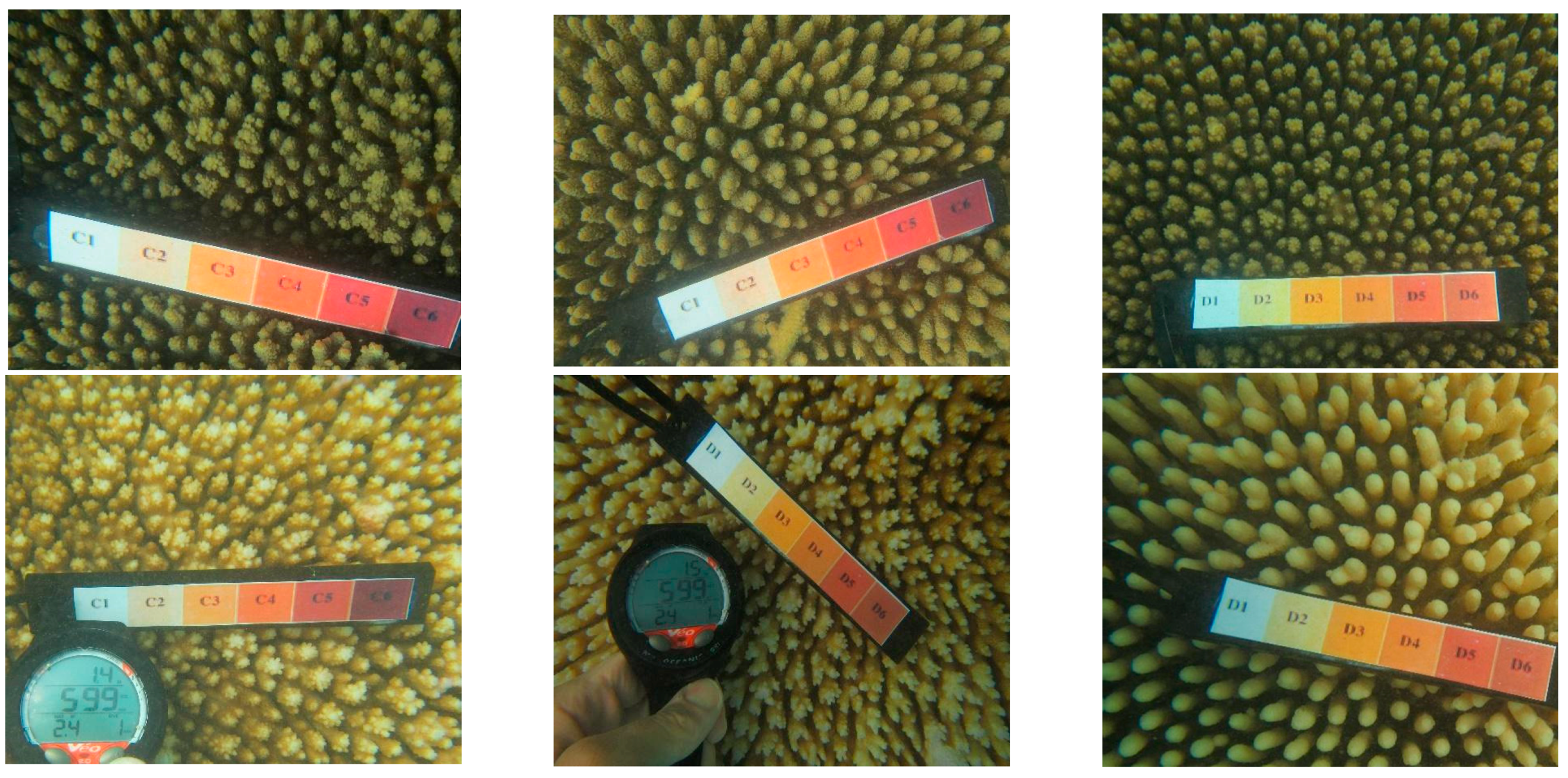 Sensors 18 02026 g003 Sensors 18 02026 g003