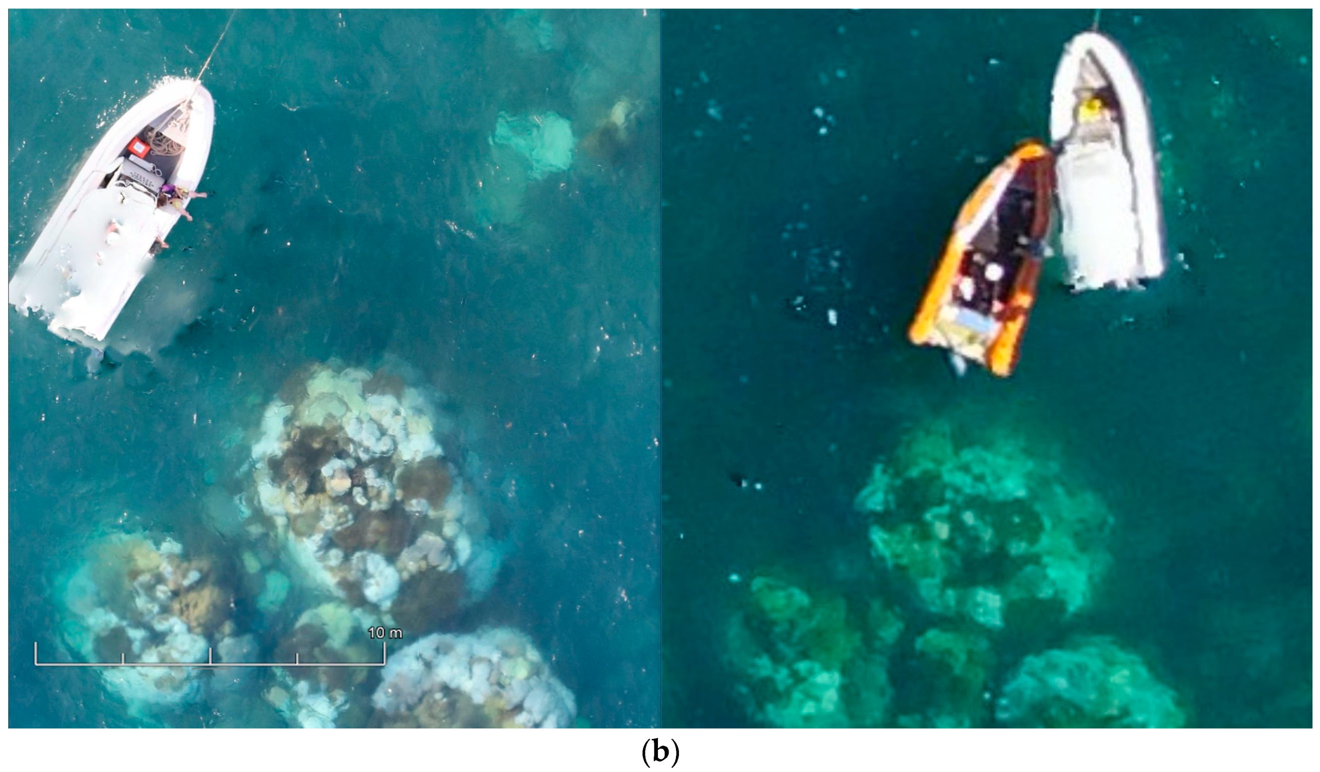 Sensors 18 02026 g015b Sensors 18 02026 g015b