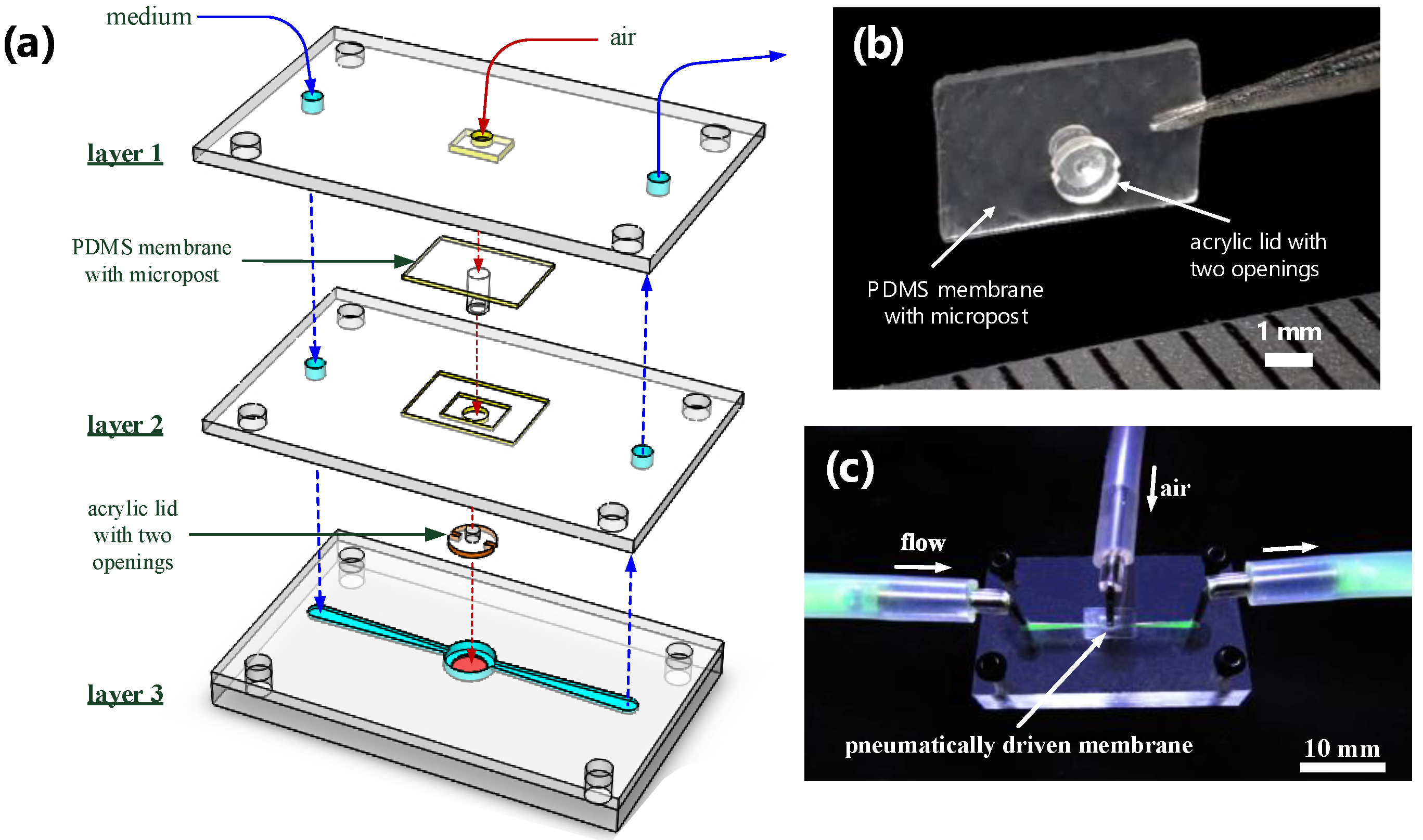 Sensors 18 02453 g003