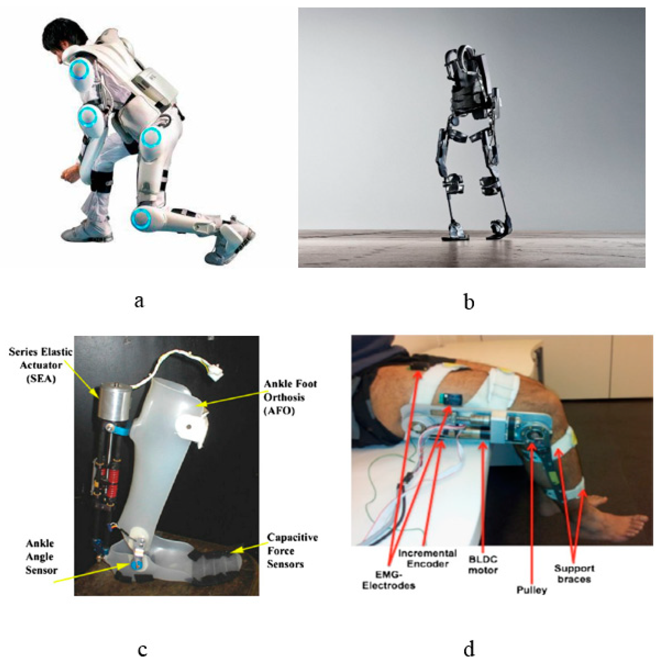 Algorithm may improve brain-controlled prostheses and exoskeletons