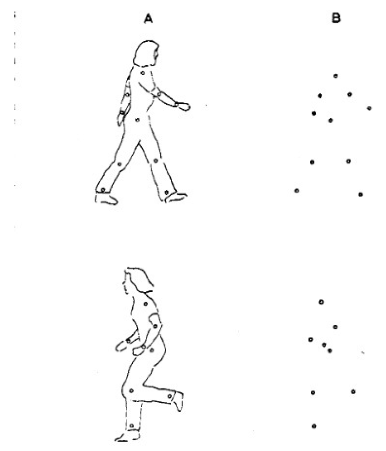 Sensors 18 03979 g003