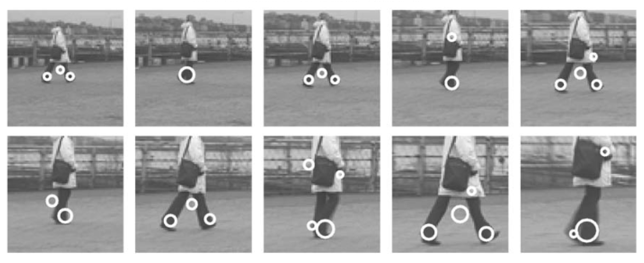 Sensors 18 03979 g006