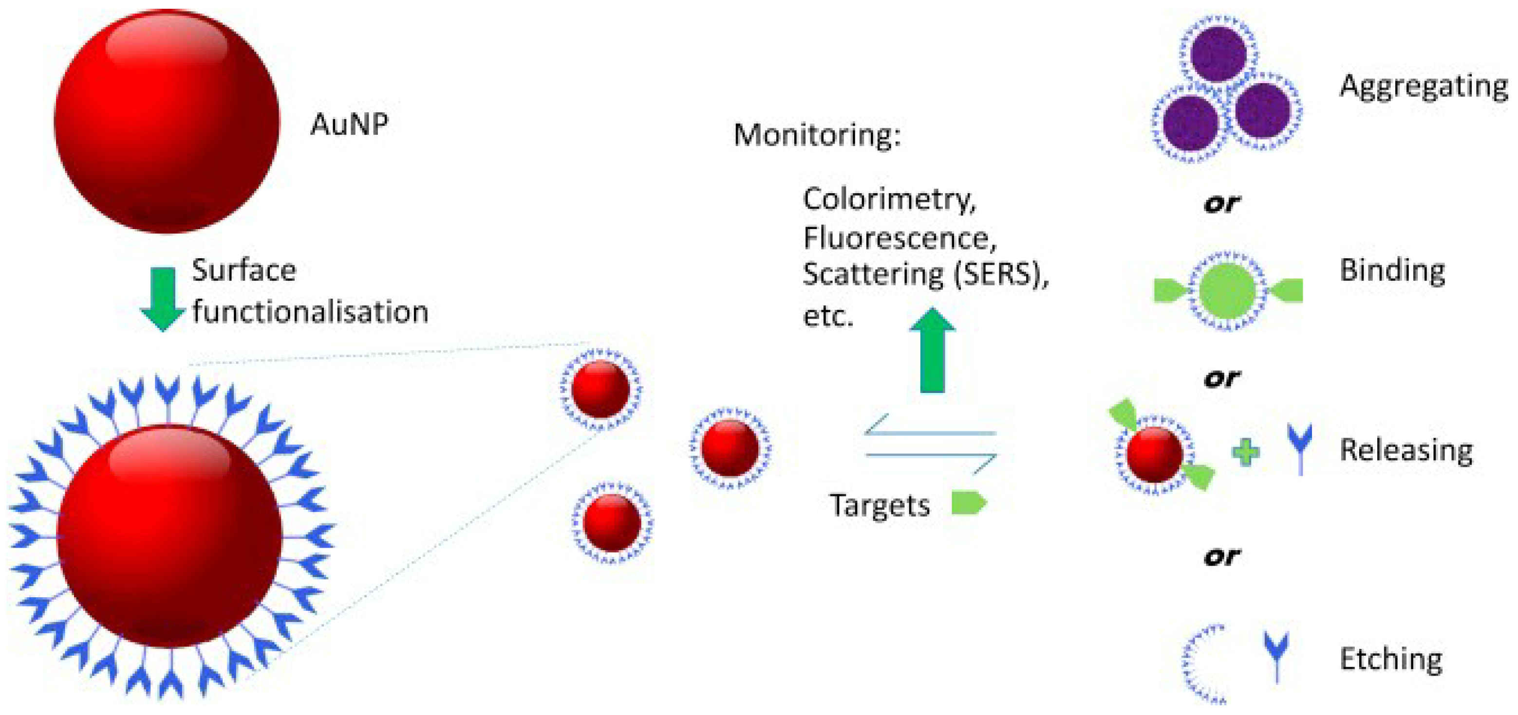 Sensors Free Full Text Application Of Gold Nanoparticle Colorimetric Sensing To Rapid Food