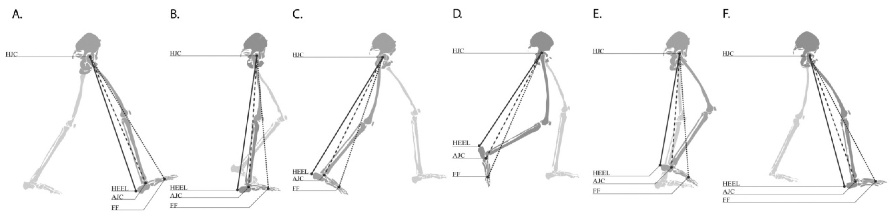 Sensors Free Full Text Measuring Dynamic Leg Length