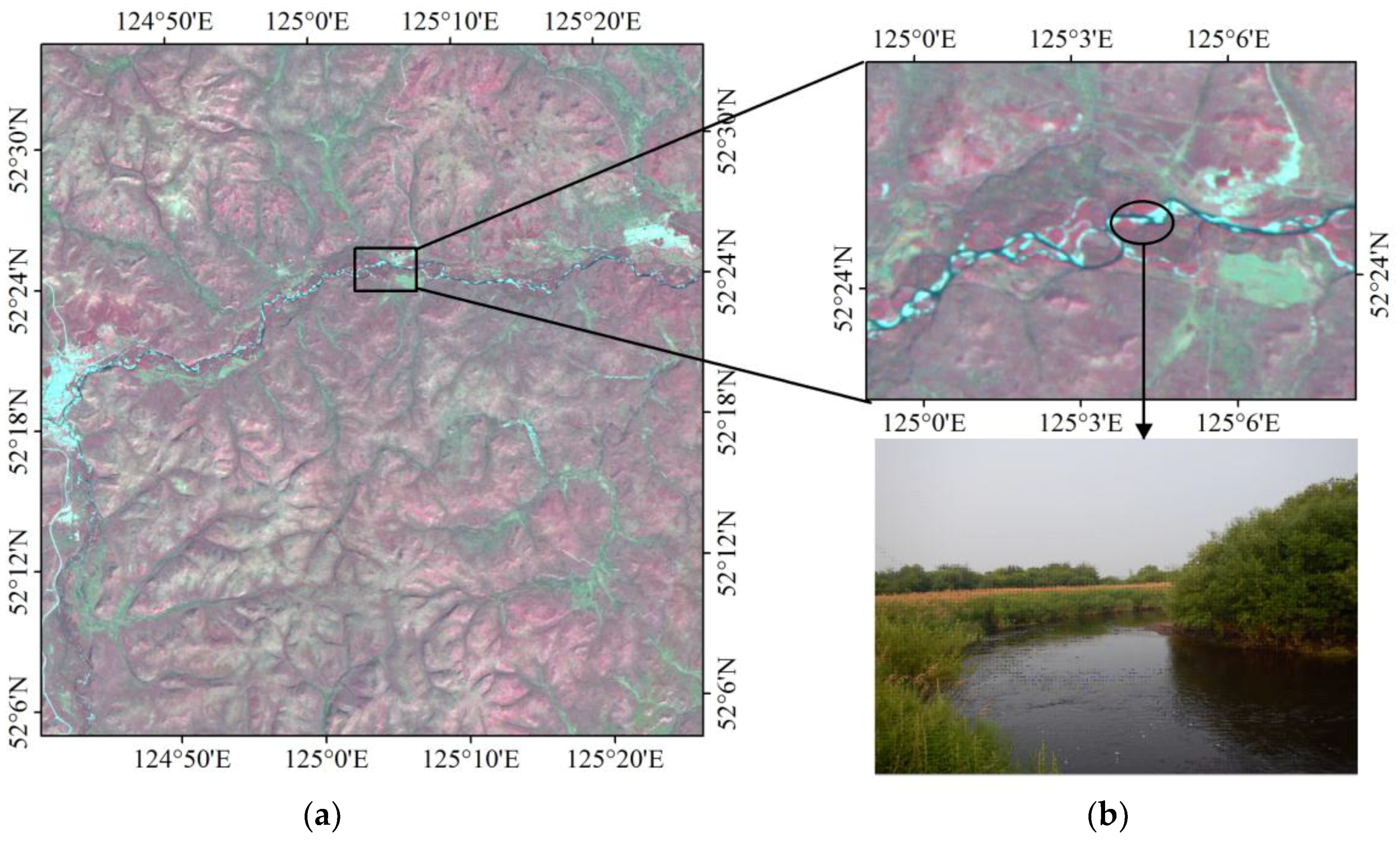 Sensors 18 04452 g011